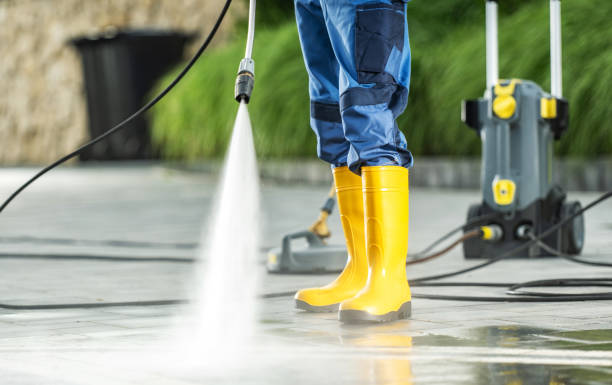 Best House Pressure Washing  in Halls, TN